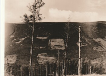 Remains of Broad Law wood, backgrounded by muirburn, 2025. Lith print on expired VC RC paper. (8"x10").