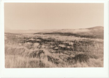 Grass on Stake Hill, 2025. Lith print on expired VC RC paper. (8"x10").