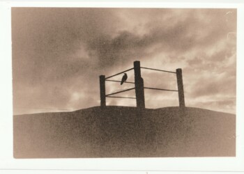 Raven on Mine winch, Stake Hill, 2025. Lith print on expired RC G2 paper. (8"x10").
