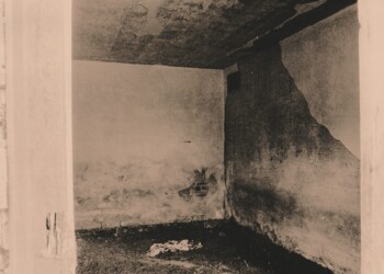 New Glencrieff Mine ruins, interior, 2025. Lith print on expired RC bromide paper. (8"x10").