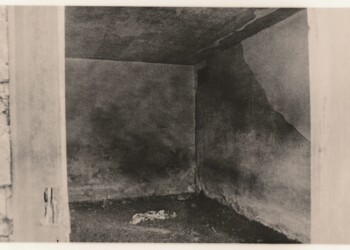New Glencrieff Mine ruins, interior, 2025. Lith print on expired VC RC paper. (8"x10").