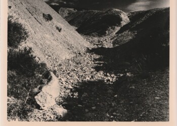Gully by Sowen Burn, 2025. Silver print on expired RC bromide paper. (8"x10").