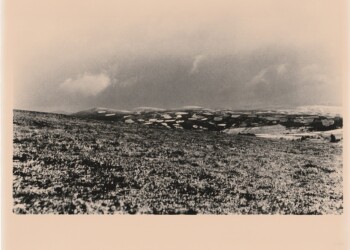 Snow on heather and distant muirburn, Wanlock Dod, 2025. Silver print on expired RC bromide paper. (8"x10").