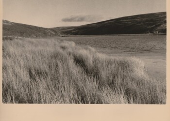 Glen Franka Reservoir, 2026. Caffenol print on expired Jessops VC RC Glossy 8"x10" paper.
