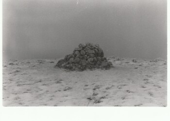 Wanlock Dod Cairn, 2026. Fern based developer print on expired Jessops RC G2 Glossy 8"x10" paper.