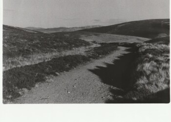 Track to Glen Franka, 2026. Fern based developer print on expired Jessops RC G2 Glossy 8"x10" paper.