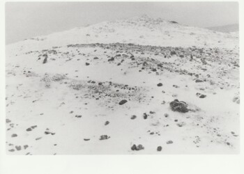 Top of the Belton Grain in snow, 2026. Fern based developer negative and print on expired Jessops RC G2 Glossy 8"x10" paper.