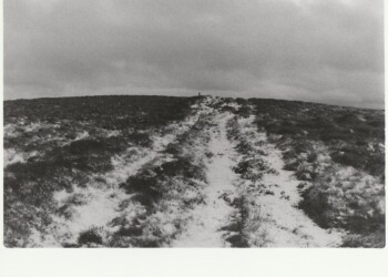 Stake Hill track in snow, 2026. Fern based developer negative and print on expired Jessops RC G2 Glossy 8"x10" paper.