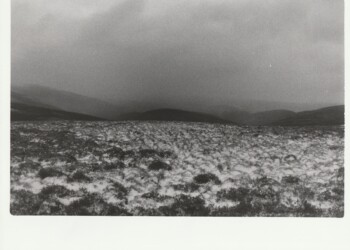 West from the top of Stake Hill, 2026. Fern based developer negative and print on expired Jessops RC G2 Glossy 8"x10" paper.