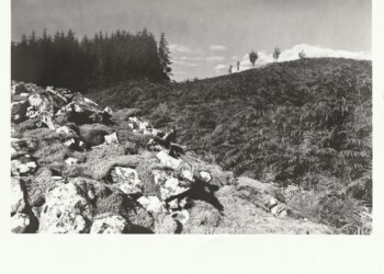 The lichen covered Capenoch Loch Long Cairn, surrounded by bracken, 2025. Lichen based developer print on expired Jessops RC G2 Glossy 8"x10" paper. (Print 2026).