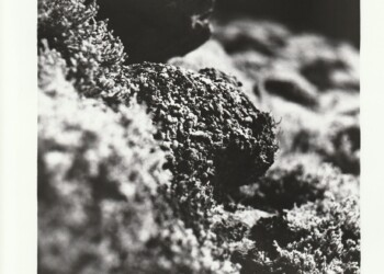 Close-up of the lichen covering Capenoch Loch Long Cairn, 2025. Lichen based developer print on expired Jessops RC G2 Glossy 8"x10" paper. (Print 2026).
