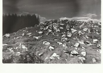 The lichen covered Capenoch Loch Long Cairn, 2025. Lichen based developer print on expired Jessops RC G2 Glossy 8"x10" paper. (Print 2026).