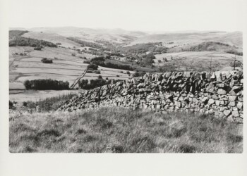 Searching for Capenoch Loch Long Cairn, 2025. Lichen based developer print on expired Jessops RC G2 Glossy 8"x10" paper. (Print 2026).