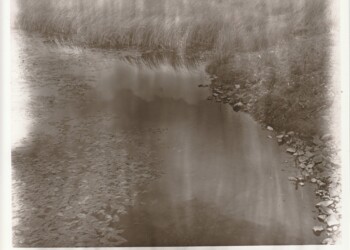 Mossy Burn Dam, 2025. Rosehip based developer (no vitamin C) print on expired Jessops RC VC Glossy 8"x10" paper. (Print 2026).