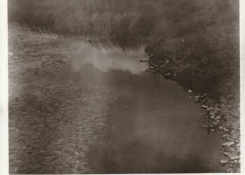 Mossy Burn Dam, 2025. Rosehip based developer (no vitamin C) print on expired Jessops RC G2 Glossy 8"x10" paper. (Print 2026).