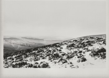 Wanlock Dod, 2026. Lichen based developer negative and print on expired Jessops RC G2 Glossy 8"x10" paper.