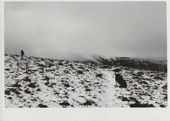Wanlock Dod, 2026. Lichen based developer negative and print on expired Jessops RC G2 Glossy 8"x10" paper.