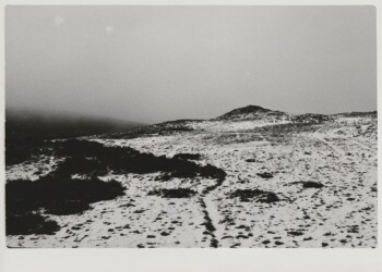 Belton Grain, Wanlock Dod, 2026. Lichen based developer negative and print on expired Jessops RC G2 Glossy 8"x10" paper.