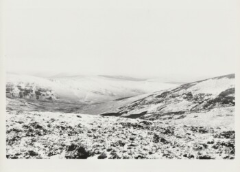 Wanlock Dod, 2026. Lichen based developer negative and print on expired Jessops RC G2 Glossy 8"x10" paper.