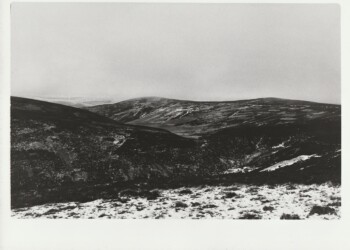 Wanlock Dod, 2026. Lichen based developer negative and print on expired Jessops RC G2 Glossy 8"x10" paper.