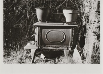 Looking out of the back door, 2026. Aquilegia based developer print from Lichen based developer negative on expired Jessops RC VC Glossy 8"x10" paper.