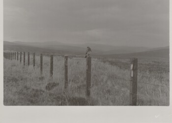 Racing Pigeon resting on the March Dyke, Wanlock Dod, 2026. Jacob's Ladder based developer print on expired Jessops RC VC Glossy 8"x10" paper.