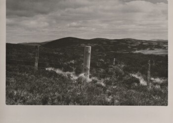 March Dyke, new stob, Wanlock Dod, 2026. Sorrel based developer print on expired Jessops RC VC Glossy 8"x10" paper.
