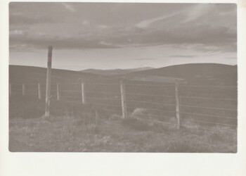 March Dyke on the Radar Road, 2026. Daffodil dead head based developer print on expired Ilford MGIV RC Pearl 8"x10" paper.
