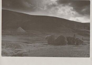 New Glen Crieff Bing and Meadowfoot Burial Enclosure, 2026. Daffodil dead head based developer print on expired Ilford MGIV RC Pearl 8"x10" paper.