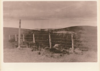 March Dyke on the Radar Road, 2026. Cherry Laurel Lith Print on expired Jessops RC VC Glossy 8"x10" paper.